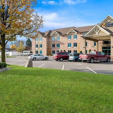 Comfort Inn & Suites Taylor Exteriér fotografie